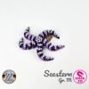Seestern - M