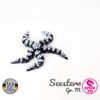 Seestern - M
