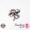 Seestern - M