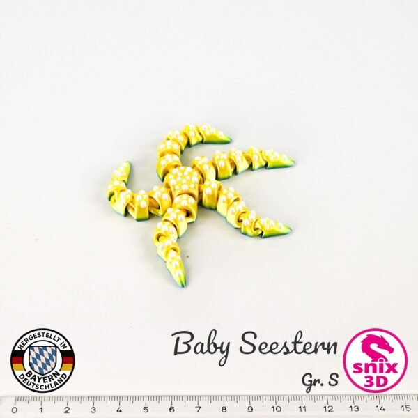 Baby Seestern - S