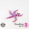 Seestern - M