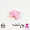 Schildkröte - M