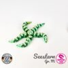 Seestern - M