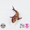 Hai - M