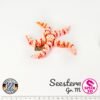 Seestern - M