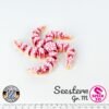 Seestern - M
