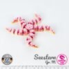Seestern - M