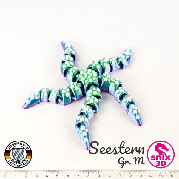 Seestern - M