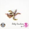 Baby Seestern - S