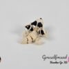 Gruselfreund Knochen XS
