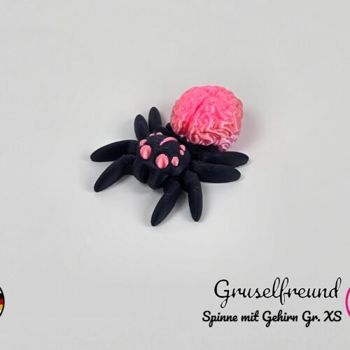 Spinne mit Gehirn XS